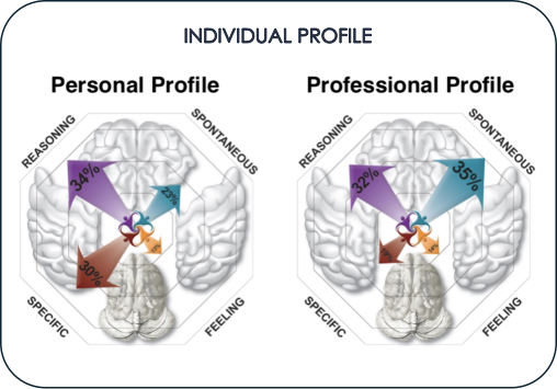 MyBrain individual profile: personal and professional thinking preferences across reasoning, spontaneous, specific and feeling