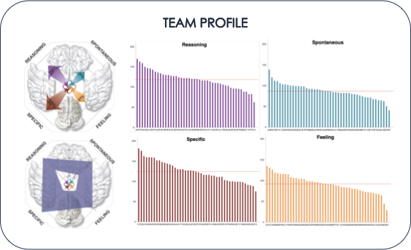 MyBrain team profile: the team's combined thinking preferences and member-by-member charts